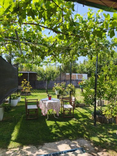 Terreno agrícola - 80.000